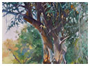Painting: Early Spring in Diablo